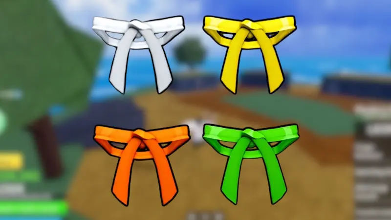 Belt Progression Before Green Belt