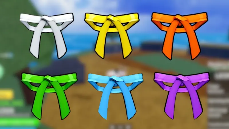 Belt Progression Order