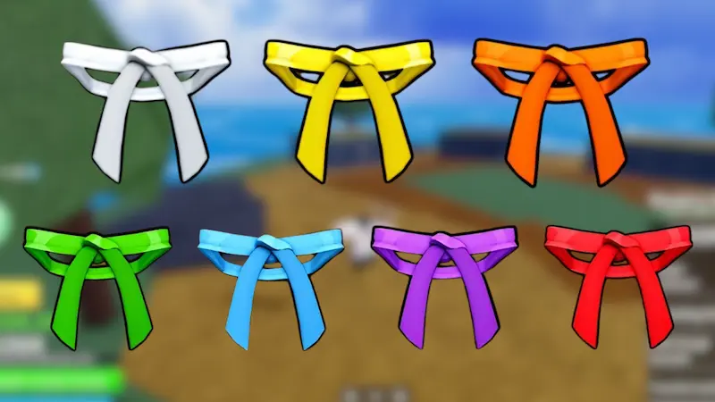 Belt Progression You Must Complete